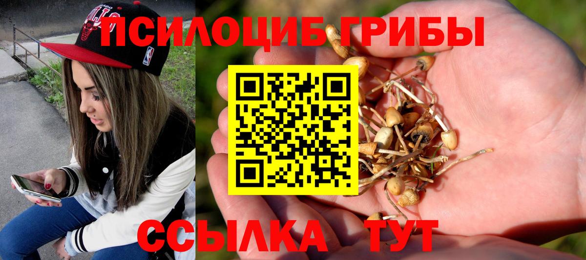 Орехово-Зуево  Галлюциногенные грибы GOLDEN TEACHER  Вход с VPN  Галлюциногенные грибы мухоморы 